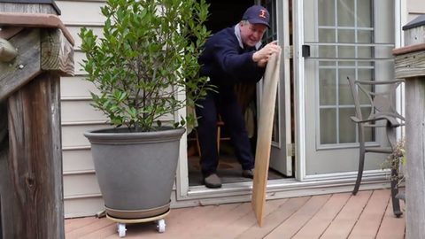 man moving a large potted shrub on a rolling caddy through a patio door, face visible