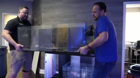 two men carrying a large glass aquarium across a living room, face visible